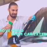 How to Remove Mold From Car Exterior