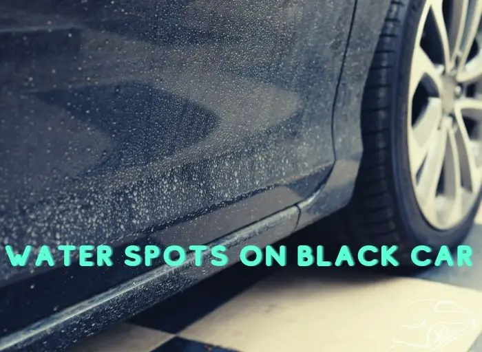 Water Spots on Black Car