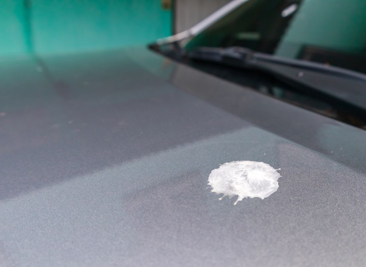 9 Fundamental Car Paint Damage Types You Need to Know About
