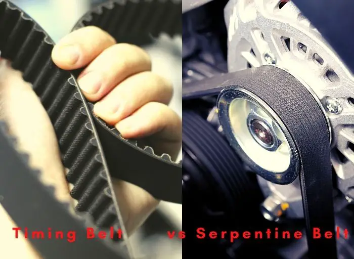 Timing Belt Vs Serpentine Belt
