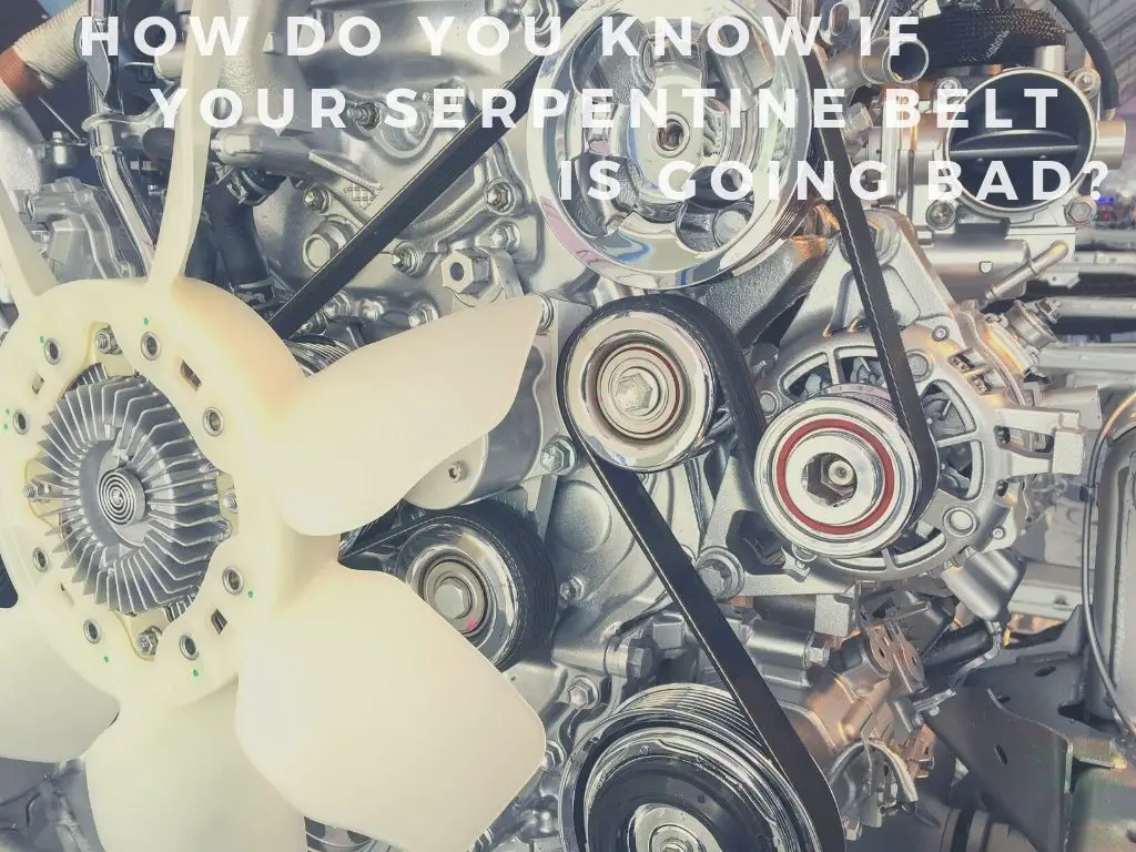 How Do You Know If Your…
